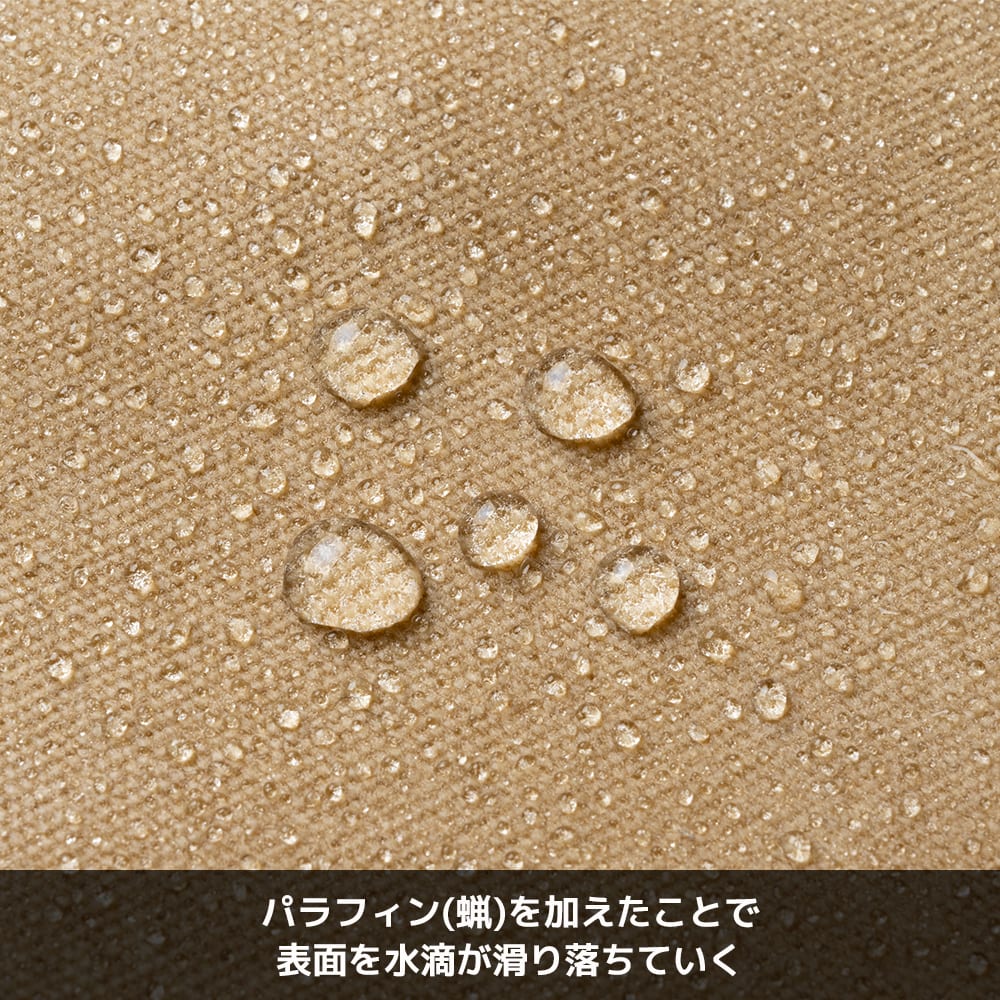 オリーブ