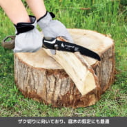 オリーブ